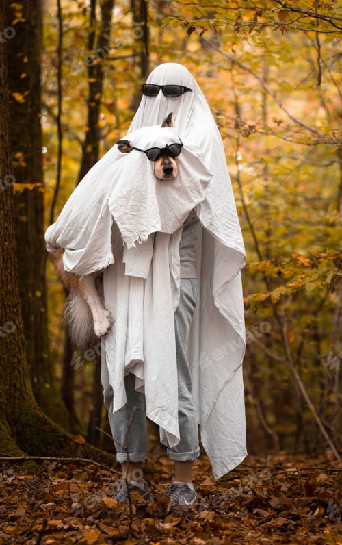 Preview: Portrait of Finnish Lapphund dog and person