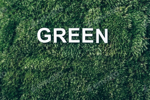 Preview: Inscription Green on moss, green grass background. Top view. Copy space. Banner. Biophilia concept