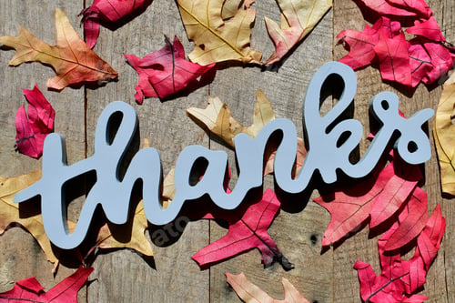 Preview: THANKS sign with colorful red yellow fall foliage, autumn leaves - Thanksgiving, thankful, grateful