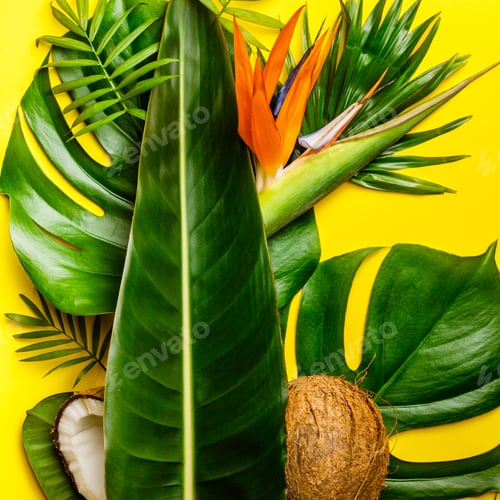 Preview: Tropical leaves on yellow background