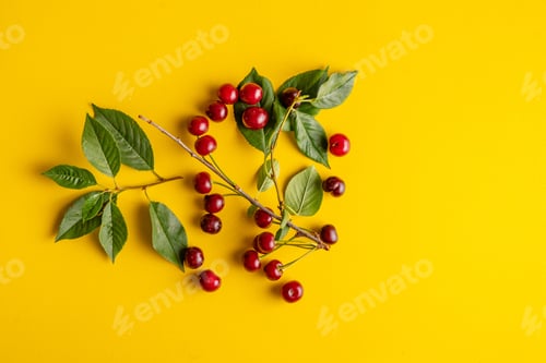 Preview: branch of raw cherry berries with green leaves flat lay
s