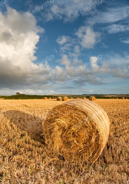 Preview: Hay Bales