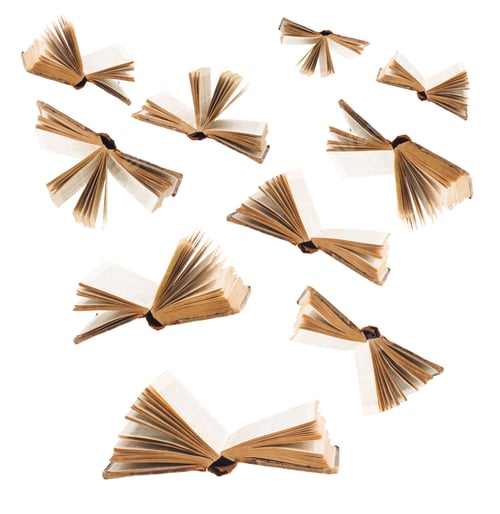 Preview: Open book