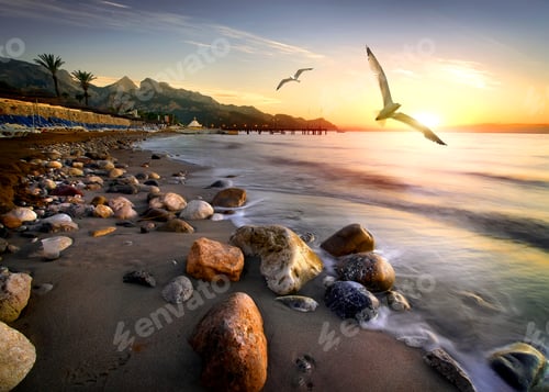 Preview: Seagulls over beach