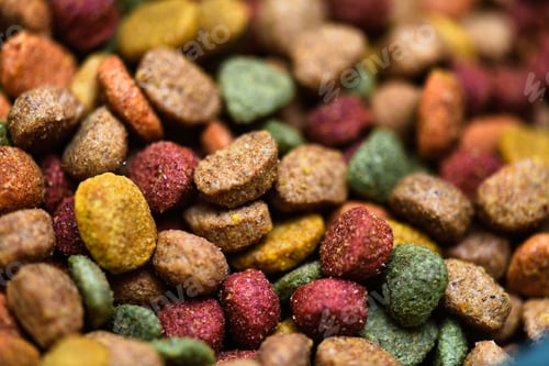 Preview: Detail of dog kibble