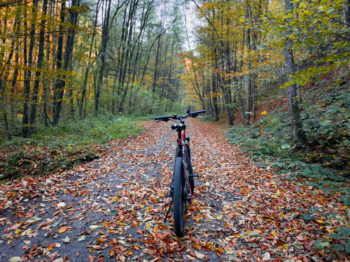 Preview: Bicycle in the forest during autumn