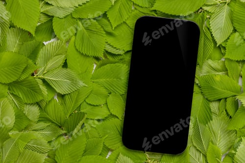 Preview: Smartphone with blank scree