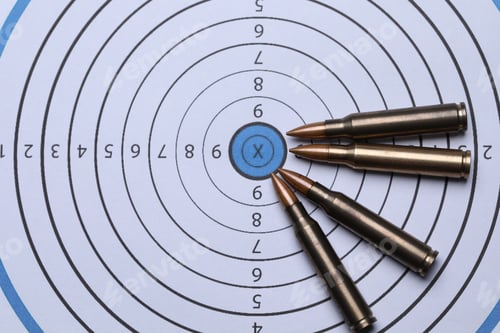 Preview: Many firearm cartridges on shooting target, flat lay