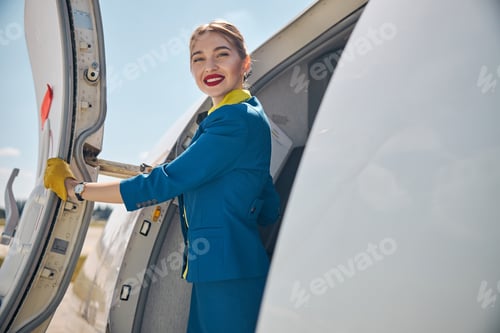 Preview: Beautiful flight attendant standing near airplane door