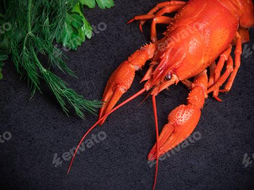 Preview: Boiled red crayfish with greens on a dark background