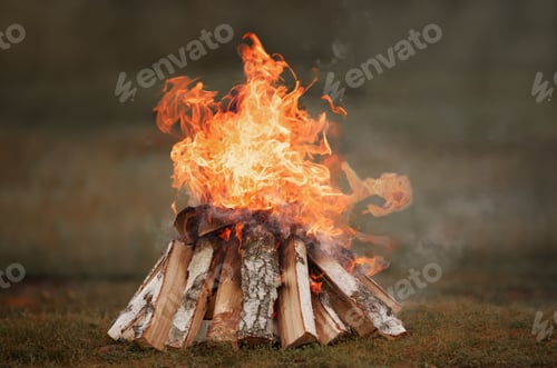 Preview: Burning bonfire, a pile of birch firewood with orange and yellow tongues of high flame