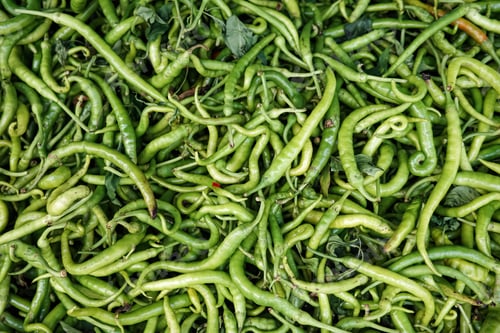 Preview: Closeup full frame background of many fresh green chili peppers with natural texture
