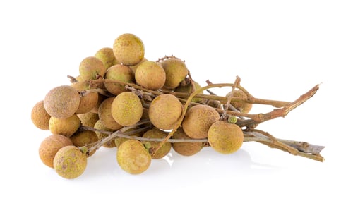 Preview: longan on white background
