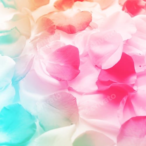 Preview: Colorful Flowers In Soft Color And Blur Style For Background