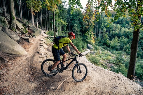 Preview: Mountain biker riding cycling in autumn forest