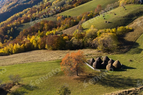 Preview: Aerial view of a small countryside homestead and colorful autumn forest. Drone point of view
