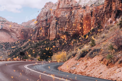 Preview: Zion National Park in fall