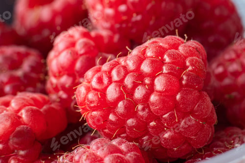 Preview: Close up of beautiful selection of freshly picked red raspberries