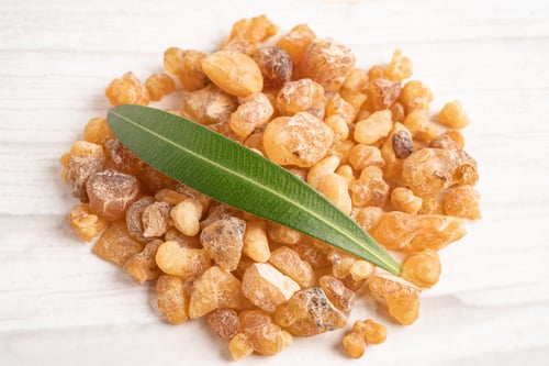 Preview: Frankincense or olibanum aromatic resin used in incense and perfumes.