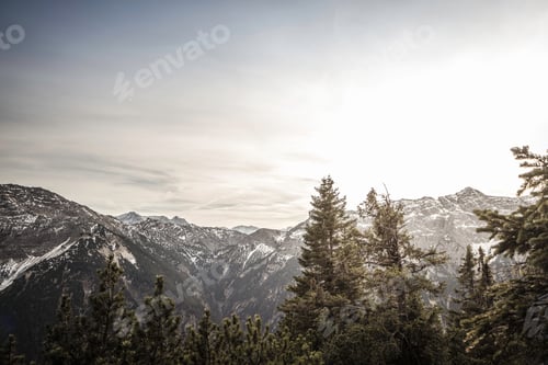 Preview: Mountains and trees in rural landscape