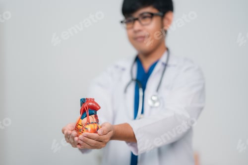 Preview: Cardiologist Providing Comprehensive Health Care, Patient Exams Diagnosing Cardiac Diseases