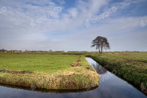 Preview: Tree in a wide landscape