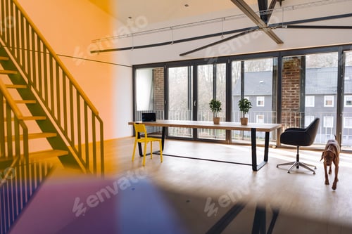Aperçu: Empty loft office with dog