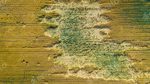 Preview: Horrible wind damage in a field in summer, aerial view