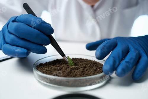 Preview: female doctor research biology ecology experiment Studio