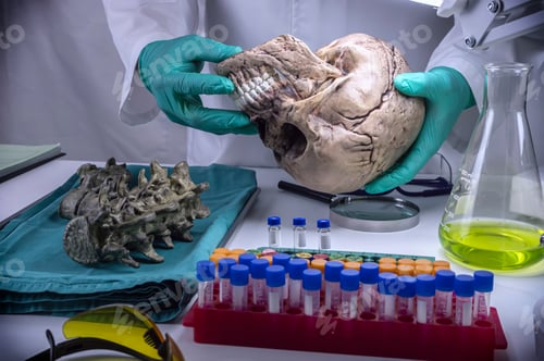 Preview: Forensic scientist examines human skull of adult male homocide victim