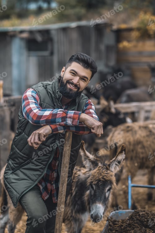 Preview: Dark-haired man resting after cleaning the cattle-pen