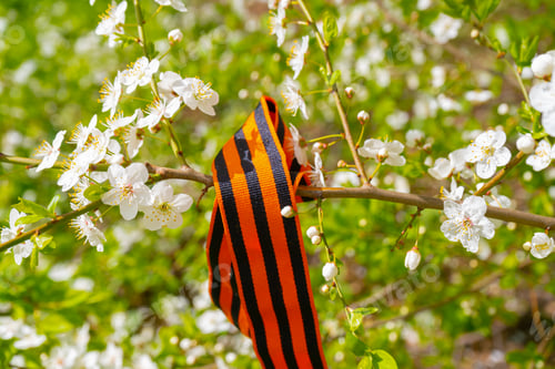 Preview: Cherry branch and Saint Georges ribbon.