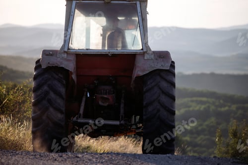 Preview: Tractor on a field with green wheat at sunset. Agriculture, crop production.