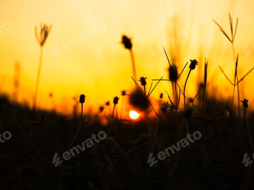 Preview: Sky sunset evening background sunrise