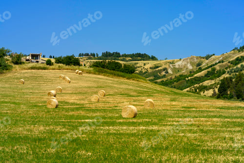 Preview: Country landscape near Castrocaro and Predappio, Emilia-Romagna