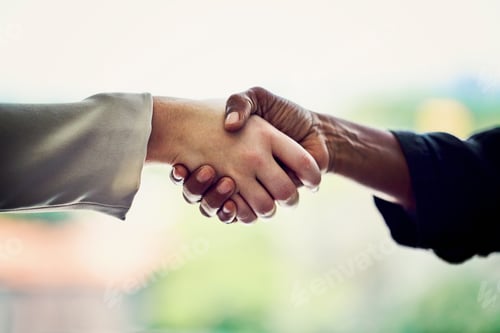 Preview: Making partners to succeed in the business