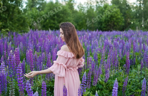 Preview: A young woman in the field of purple lupine (Lupinus, lupin) flowers in summer, romantic, nature