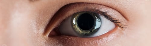 Preview: close up view of woman clear eye looking at camera, panoramic shot