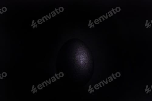 Preview: Black Egg Lies On White Background White Egg Lies On Black Background