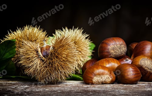 Preview: Chestnuts and chestnut bur.