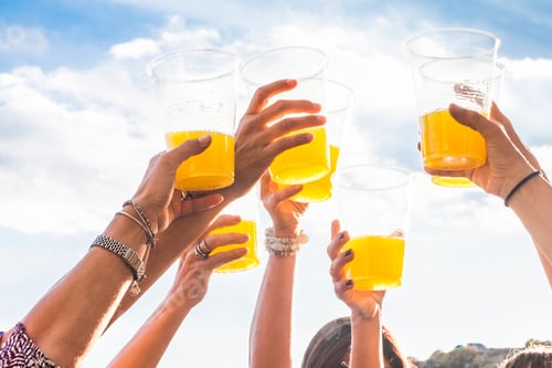 Preview: Group of happy and cheerful young women friends enjoy and celebrate social life together