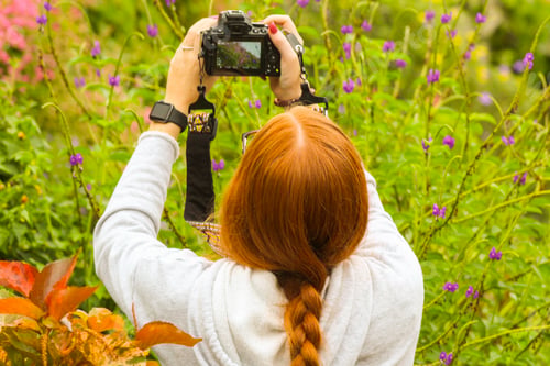 Preview: Photographer taking pictures in garden. 🌺NOMINATED by beachbumledford 🌺 NOMINATED by AAS🌺