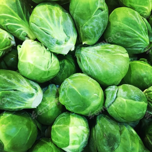 Fresh Green Brussels Sprouts Heap