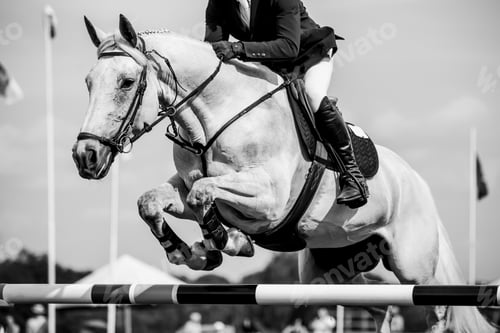 Preview: Horse Jumping, Equestrian Sports, Show Jumping themed photo.