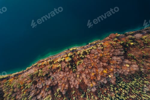 Preview: Aerial Top down texture Autumn Trees with turquoise lake, germany austria italy