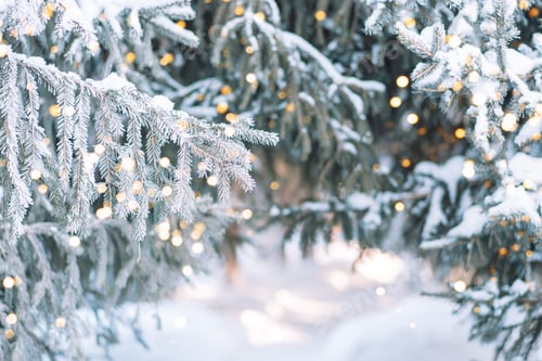 Preview: Outside Christmas tree in snow background with lights from garlands