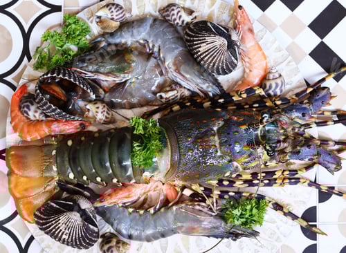 Preview: Natural organic seafood - lobster, shrimp, healthy eating