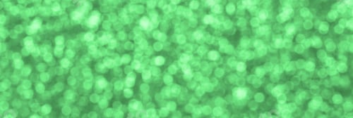 Preview: Blurred green decorative sequins. Background image with shiny bokeh lights from small elements