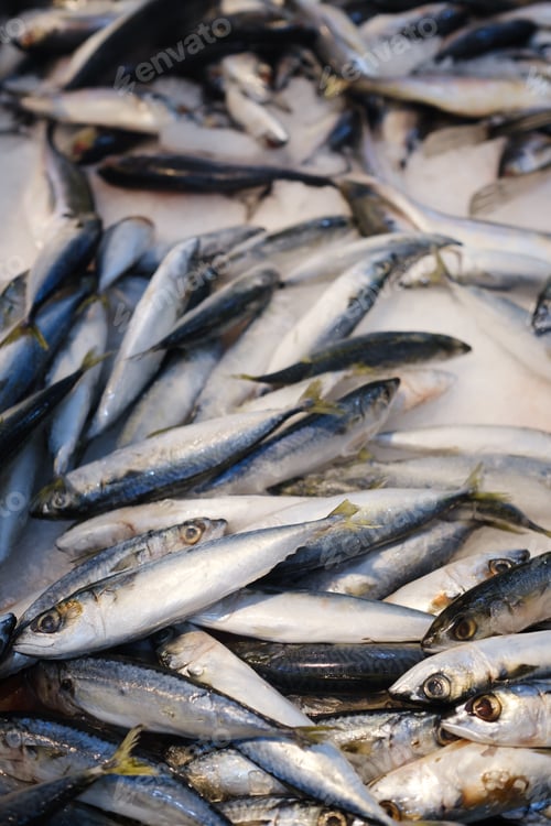 Preview: Fresh catch of fish laid out on ice at a bustling seafood market during early morning hours
