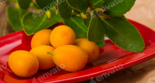 Preview: Closeup of kumquat on the red ceramic plate at a wooden surface